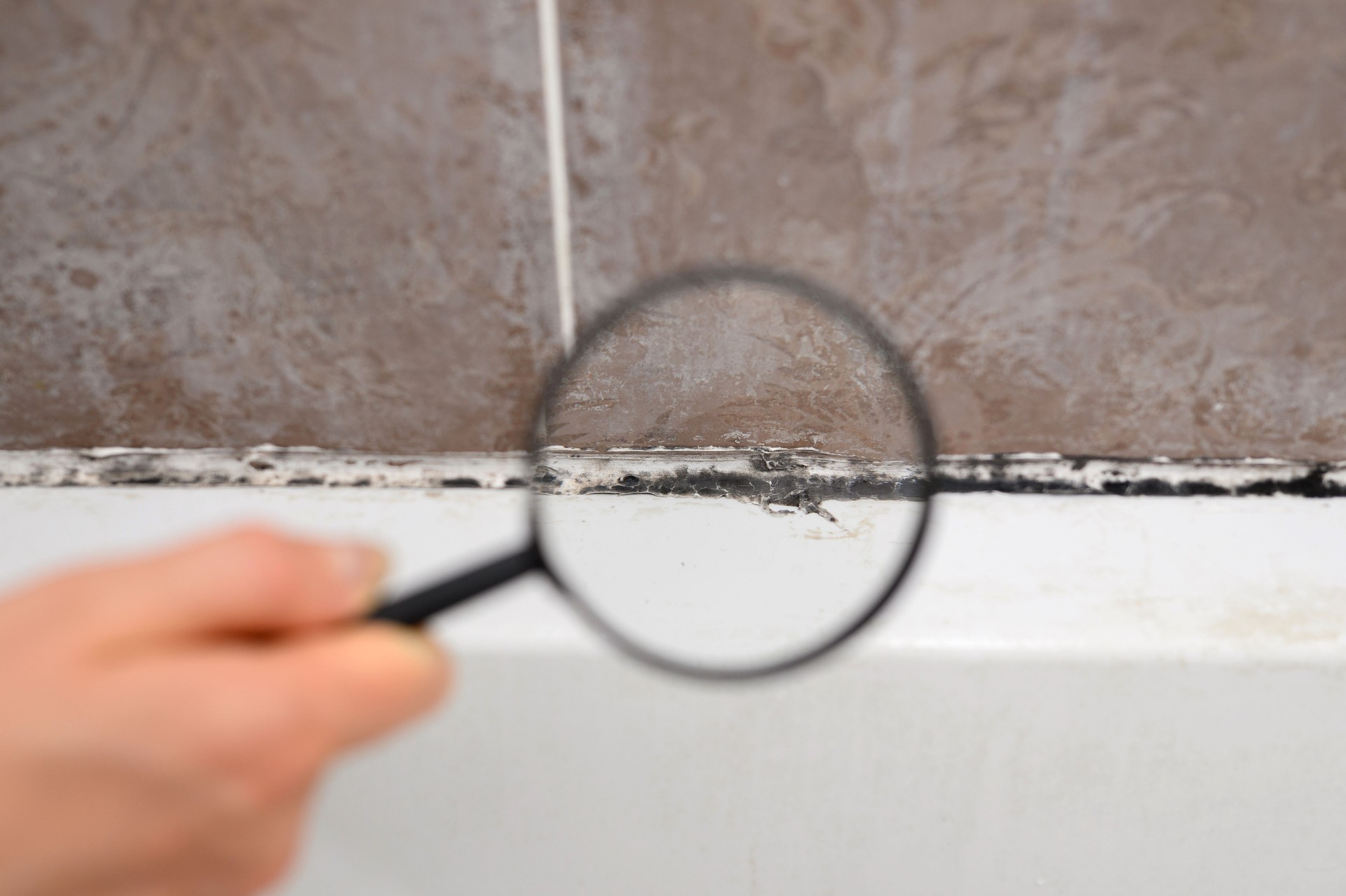 Looking at black mold under magnifying glass. Black mold has formed on silicone putty in bathroom. Cleaning a dirty bathroom.